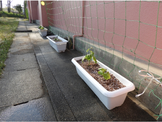 綺麗に並べて完成です