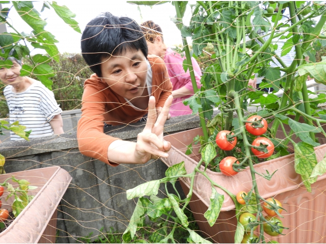 『ピース』か『ハサミ』
どちらでしょうか