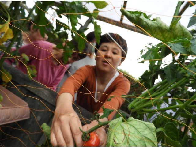 そのまま食べたいけど…
がまんです