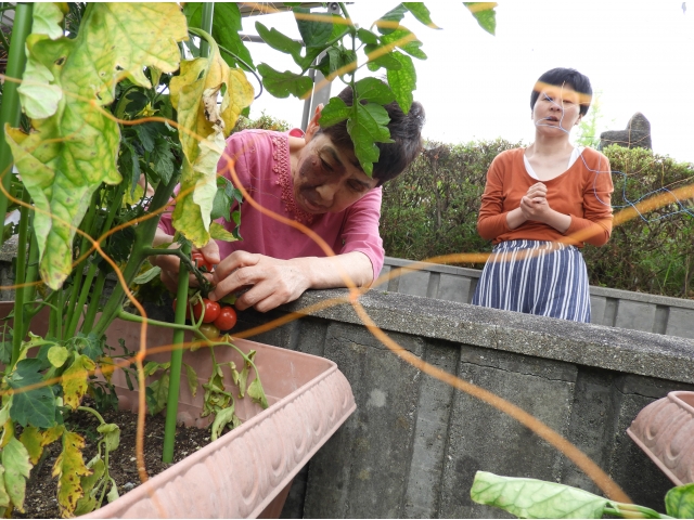 これにきーめた