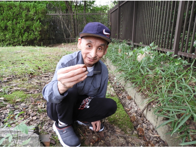 大きな栗見つけたよ