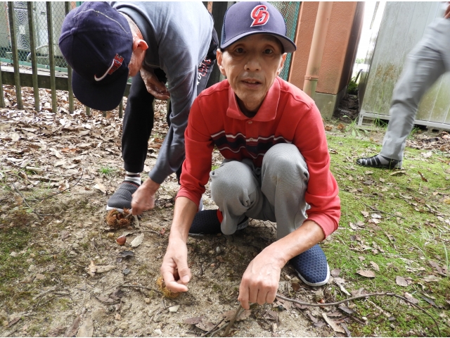 こっちにもあった