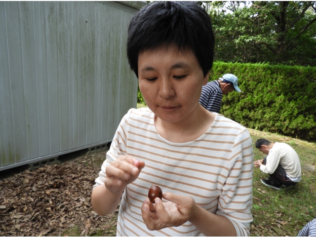 美味しそうだなぁ