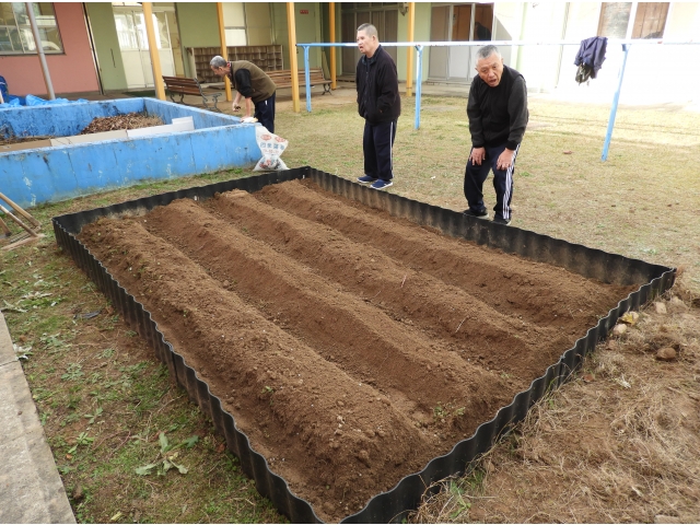 四つの畝が完成して、準備完了です。