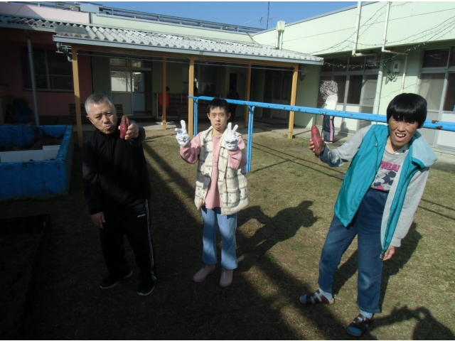 サツマイモ採れたよ