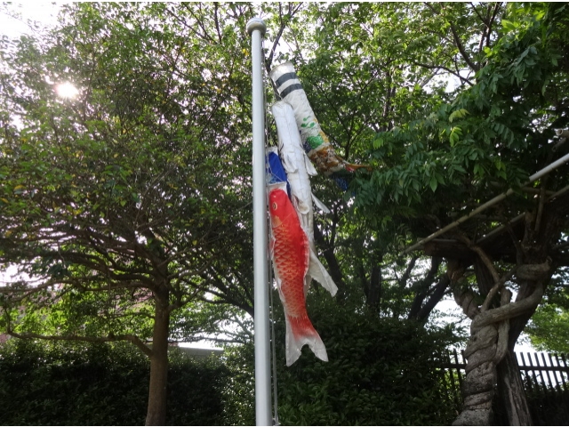 もっと風よ吹け～