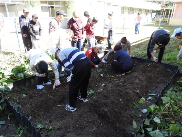 さあ、皆で収穫だ