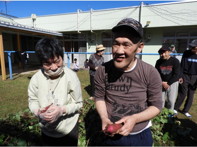 大きなさつまいもが採れたよ②