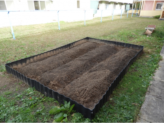 畝を三つ作りまして