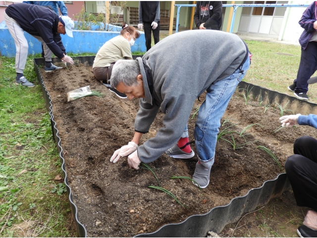苗を植えまして①