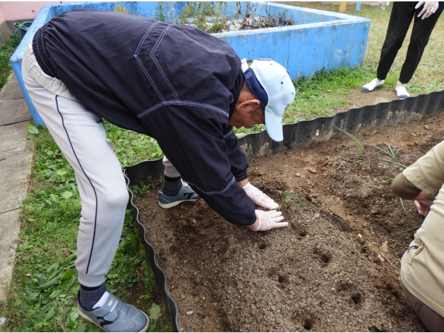 苗を植えまして②