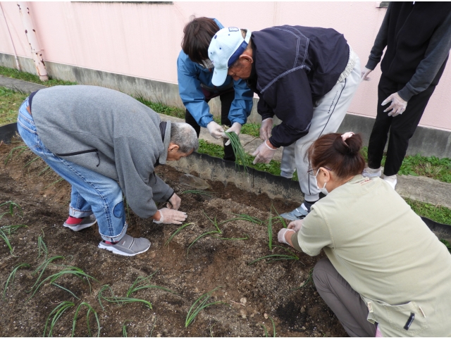よいしょ、よいしょ
