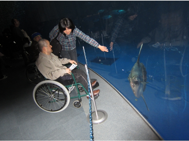 マンボウと遭遇!