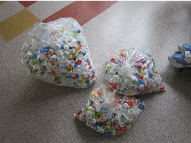 こんなに沢山集まりました!