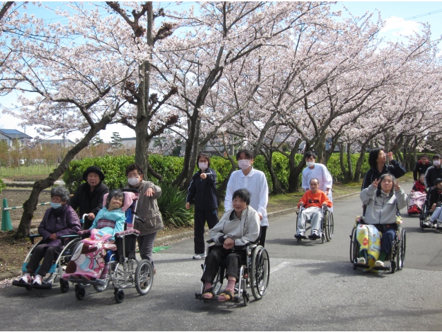 桜のトンネルでお散歩