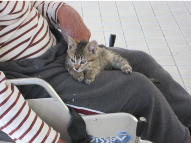 新しい家族のもとで元気に育ってね