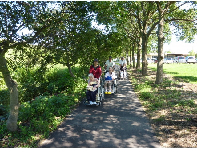 もちろん、利用者さんお気に入りの散歩コースでもあります。