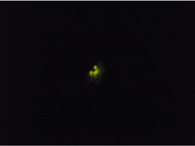 お互い意識し始めました