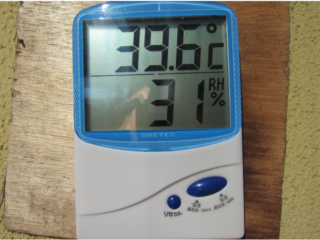 灼熱！はなのき……