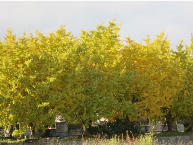 名鉄山崎駅の西側から