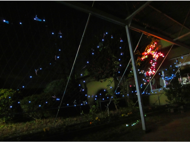 ２・０・１（午）・４！！