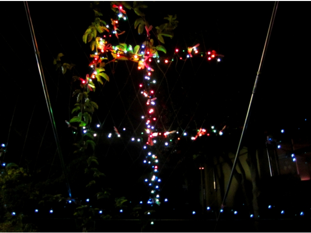 自信作！“午”