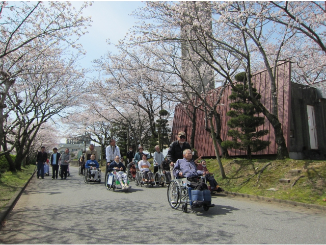 桜トンネル通過中