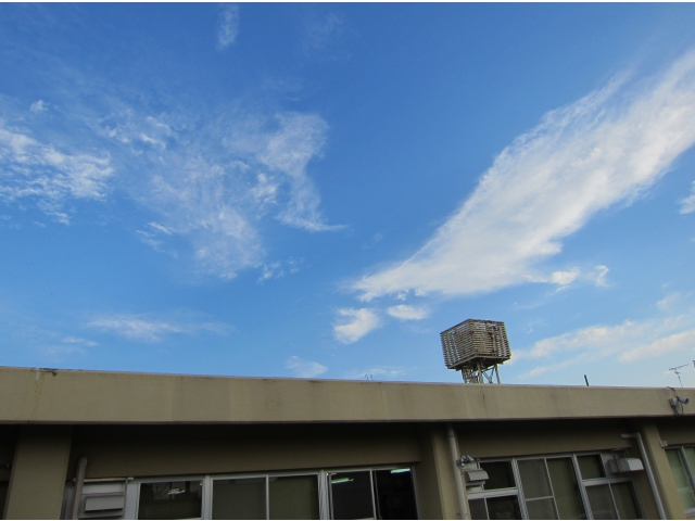 はなのきの里から空を見上げました