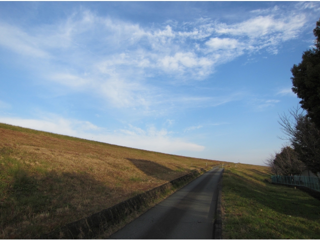 ストレスを感じたら空を見上げてみては?!