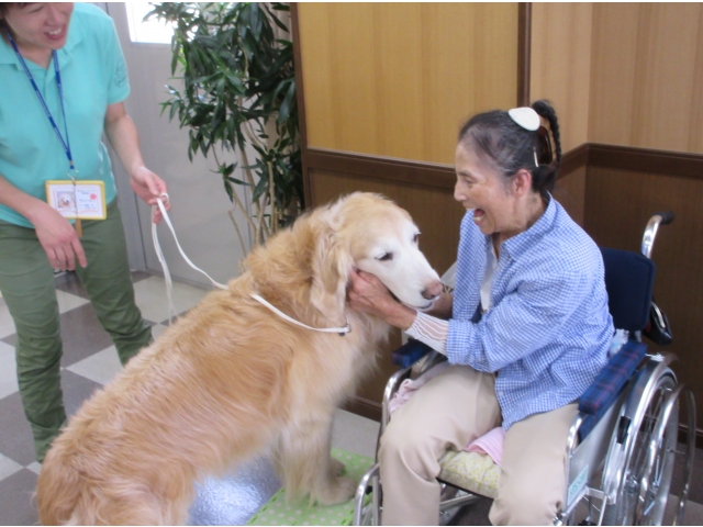 「もんじゅくん」です