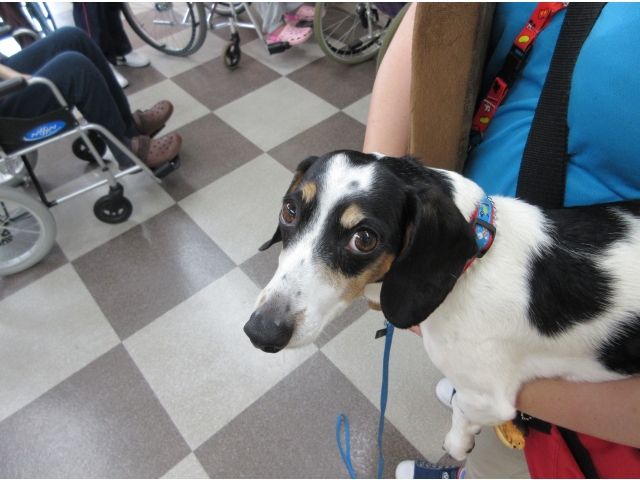 「ホームズくん」です