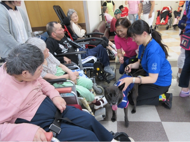 「ななちゃん」です