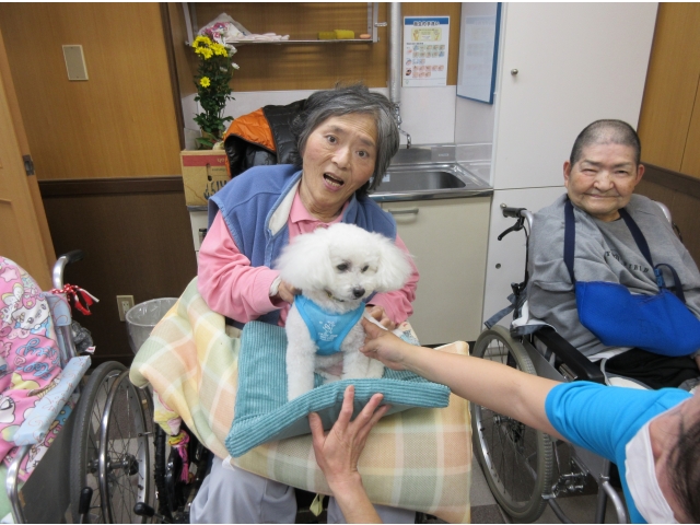 『クーちゃん』です。（1）