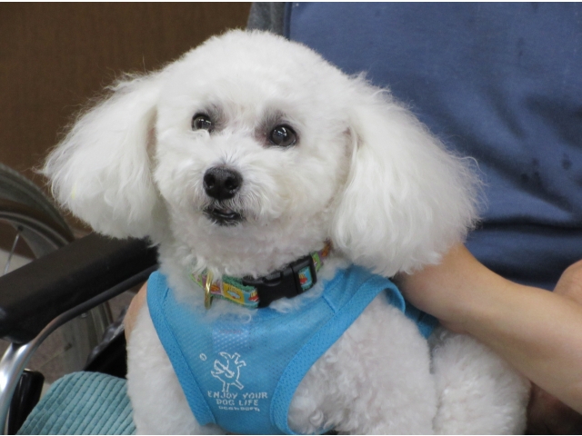 『クーちゃん』のアップです。（2）