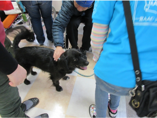 『アリスちゃん』です。