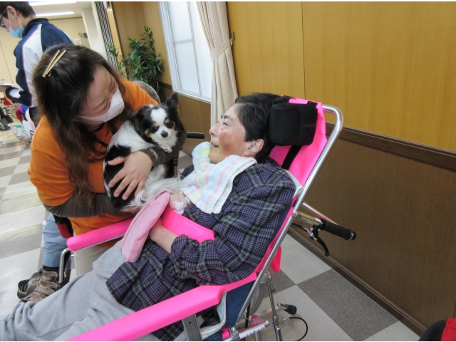 『ハニーちゃん』です。