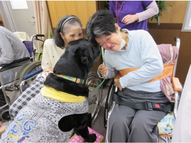 『プリンスくん』です。