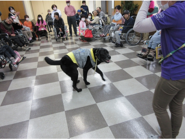 『プリンスくん』の見事な技。