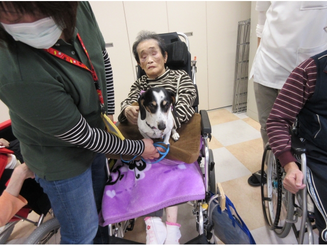 『ホームズくん』です。