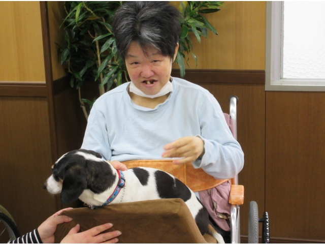 『ホームズくん』です。（2）