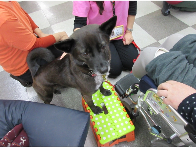 『ナナちゃん」です。