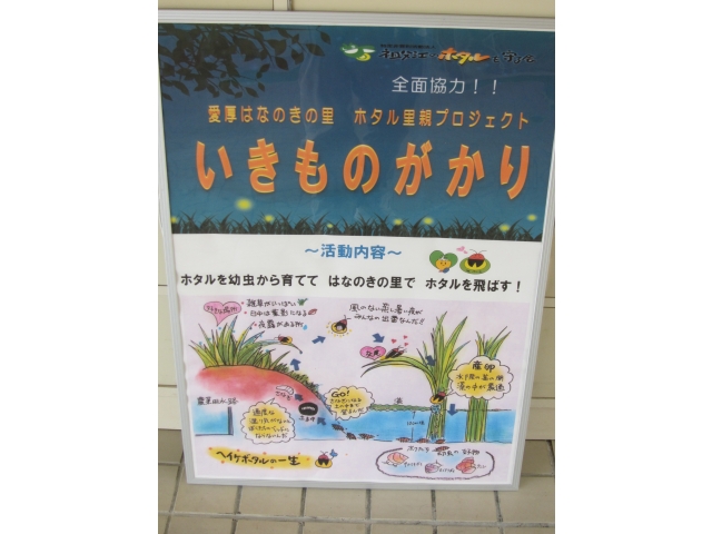 いきものがかり看板です