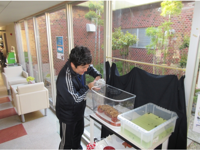 毎日のお世話もかかせません