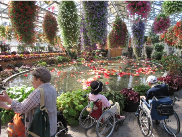 ベストショット