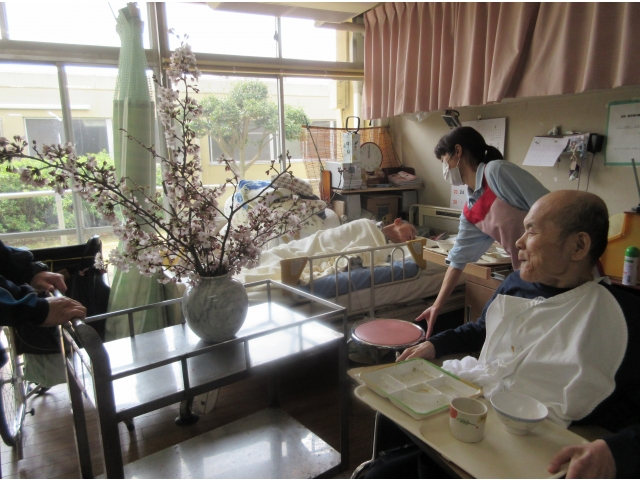 桜の木デリバリーでーす