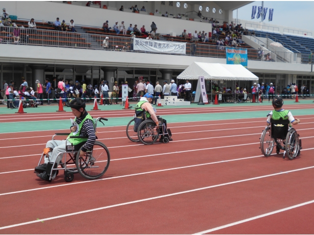 50ｍの様子です