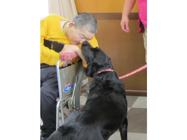 お鼻をペロリ
こんにちは！