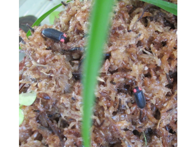 左が第３号
右が第４号