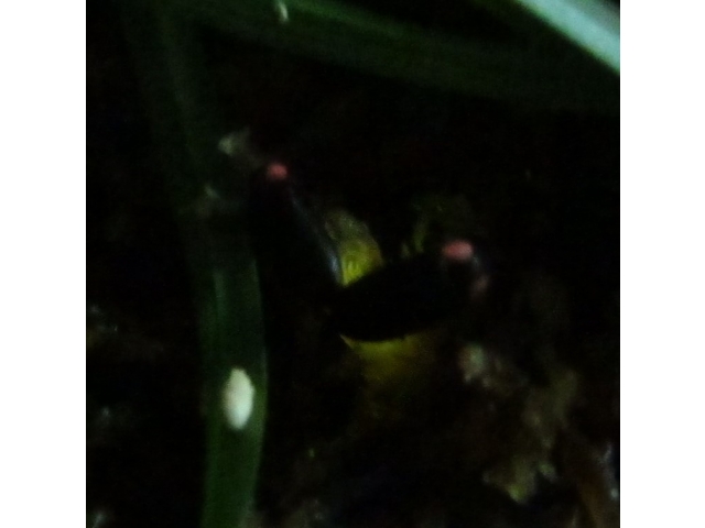 カップル成立💛