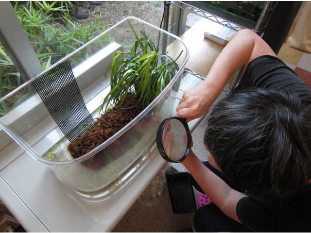 水没救済策で
網を設置しました。